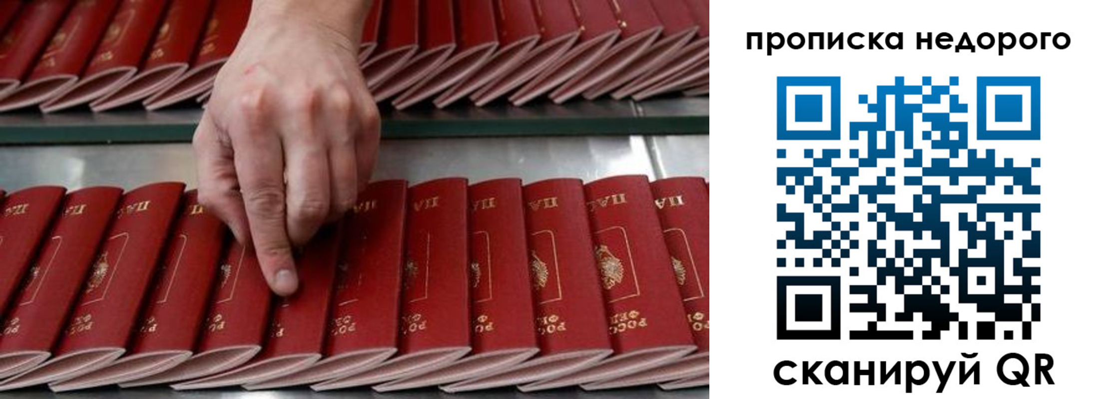 прописка регистрация в Ленинградской области